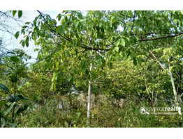 Well demanding 40cent land for sale near kenichira @ 60000/cent