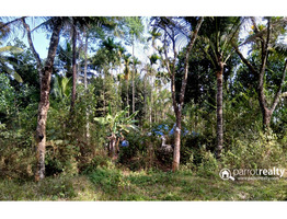 Well maintained 1 acre land for sale in Poothadi @ 35lakh