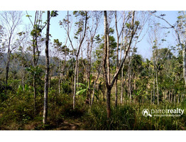 Excellent 4.70 acre investment purpose land in kurukkanmoola, near Kattikulam