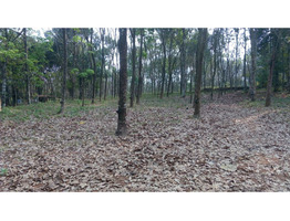 50 cent residential plot for sale - Kidangoor