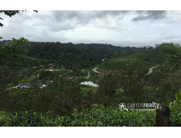 15 acre property with 2 Cottages in Vellarimala,Meppadi @3.80 Cr