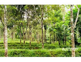 50cent land for sale in panayambamkunnu, bathery @ 15lakh