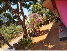 1.5 acer land with old house sale at kasargod