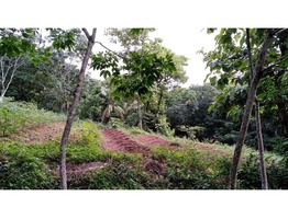 1.5 acer land with old house sale at kasargod