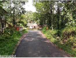 50 Cent Plot for sale in Adimali - Kerala.