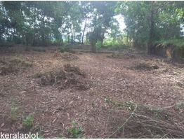 20 CENT LAND SALE AT ERNAKULAM  THENGODE