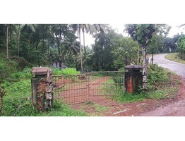House for sale in Kasaragod district with 9 acres of lucrative agricultural land