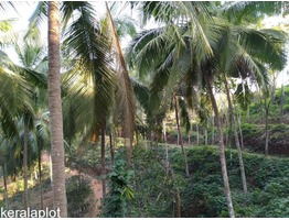 House for sale in Kasaragod district with 9 acres of lucrative agricultural land