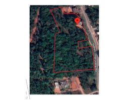 2.90 acres  land for sale in wayanad