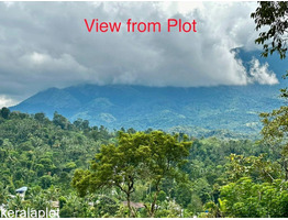 2.90 acres  land for sale in wayanad