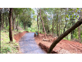 2.90 acres  land for sale in wayanad