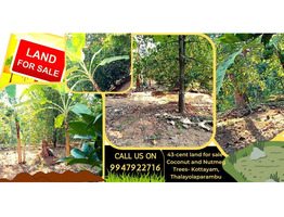 43 cent land for sale Thalayolaparambu, kottaym.