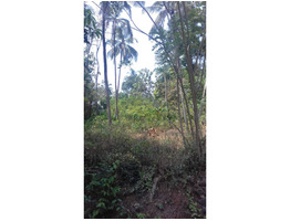 23 plot sale at kulapully town ,palakkad