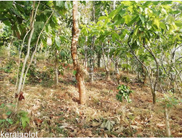 65 CENT LAND SALE AT IDUKKI DIS,