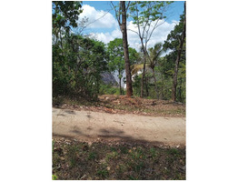 65 CENT LAND SALE AT IDUKKI DIS,