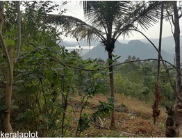 65 CENT LAND SALE AT IDUKKI DIS,