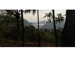 65 CENT LAND SALE AT IDUKKI DIS,