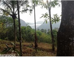 65 CENT LAND SALE AT IDUKKI DIS,