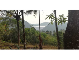 65 CENT LAND SALE AT IDUKKI DIS,