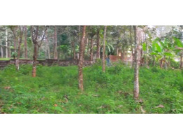 10 cent plot sale at chengamanadu, kollam