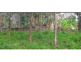 10 cent plot sale at chengamanadu, kollam