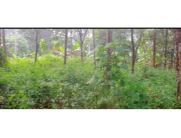 10 cent plot sale at chengamanadu, kollam