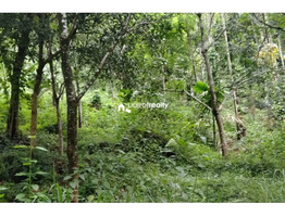1 acre 37 cent land for sale in Kurumbalakotta ,Wayanad