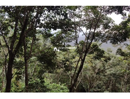 1 acre 37 cent land for sale in Kurumbalakotta ,Wayanad