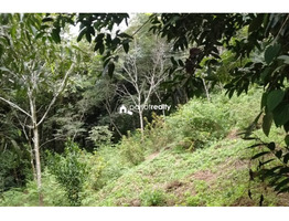 1 acre 37 cent land for sale in Kurumbalakotta ,Wayanad