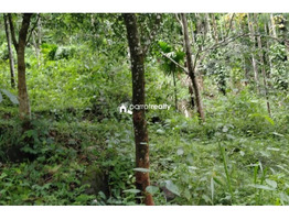 1 acre 37 cent land for sale in Kurumbalakotta ,Wayanad