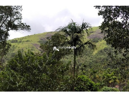 1 acre land for sale near Padinjarathara @ 50000 /cent....