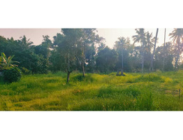 1.60 acer land sale at Chirakkara Junction, Kollam