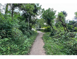 96 cent Resort purpose land for sale in Pakkam near Pulpally...