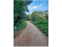 40 cents plot  for sale Manisseri  ,Palakkad