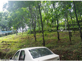 96 cent Residential Land sale at Pannimattom, Thodupuzha