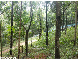 96 cent Residential Land sale at Pannimattom, Thodupuzha
