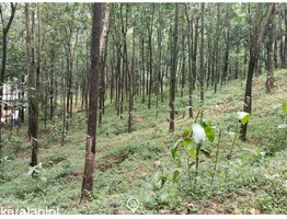 96 cent Residential Land sale at Pannimattom, Thodupuzha