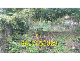 1 km away from Chengannur with road facility 15 cents Plot for sale