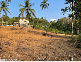 East facing Plots for Sale in Chengannur(Areekara)