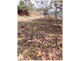 HOUSE PLOT FOR SALE 100 MTRS FROM HIGHWAY