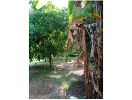 Land with House for Sale in Meladur, Mala, Thrissur