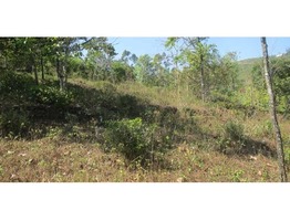 2.5 Acre residential land(1.28 Acre deed)for sale near Elappara,Idukki