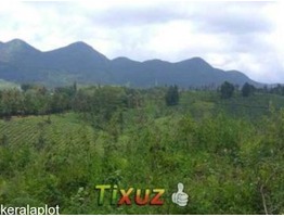 2.5 Acre residential land(1.28 Acre deed)for sale near Elappara,Idukki