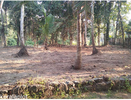 6 cents at Guruvayoor