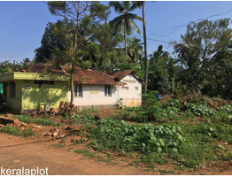 11.3 cent plot for sale in Anchery, Thrissur