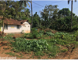 11.3 cent plot for sale in Anchery, Thrissur