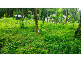 45 cent  land for sale kanjar,kaippa,Idukki dis.