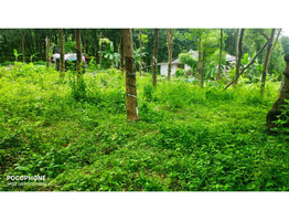 45 cent  land for sale kanjar,kaippa,Idukki dis.