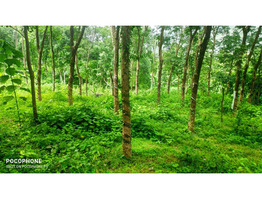 45 cent  land for sale kanjar,kaippa,Idukki dis.