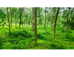 45 cent  land for sale kanjar,kaippa,Idukki dis.